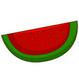 one piece watermelon on white background vector image vector image