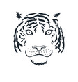tiger face or head hand drawn animal vector image