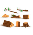 wood log and trunk stump plank vector image