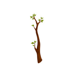Spring tree Royalty Free Vector Image - VectorStock