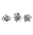 flower bouquet black and white viburnum vector image vector image