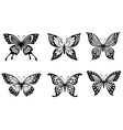 beautiful butterflies in monochrome style vector image