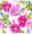 seamless brier rose vector image
