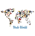 birds world map with continents vector image