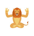 lion yoga wild animal yogi isolated beast vector image
