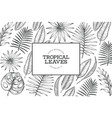 tropical plants banner design hand drawn vector image vector image