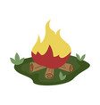 camping fire place composition vector image