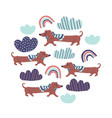 circle - cute dachshund dogs rainbows vector image vector image