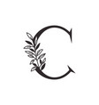 Letter c alphabet with leaves Royalty Free Vector Image