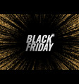 black friday promotion banner vector image vector image