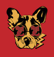rock on hand drawn bulldog vector image