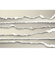 set of sheets paper torn gray vector image