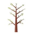 spring tree flat icon vector image