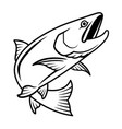 salmon drawing with black blush lines vector image