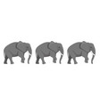 family of three african asian elephants vector image vector image