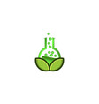 green laboratory and leaf logo designs vector image vector image
