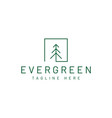 modern pine tree logo design vector image