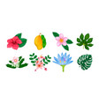 tropical flowers and leaves collection isolated vector image vector image