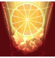 ice cubes and lemon slice vector image vector image
