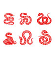 chinese zodiac snake animal icons set vector image