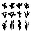 set black silhouettes cactuses vector image