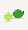 lime flat icon vector image vector image