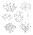 set black and white with corals vector image