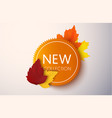 new collection tag vector image