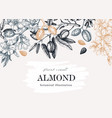 vintage almond blossom banner design flowering vector image vector image
