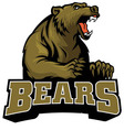 big brown bear mascot vector image