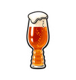 ipa beer glass india pale ale hand drawn vector image