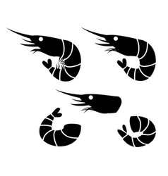 Prawn or shrimp Royalty Free Vector Image - VectorStock