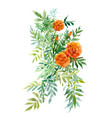 watercolor hand drawn painting with orange vector image