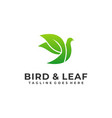 bird leaf design template vector image