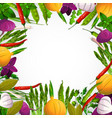 vegetables and spices background vector image vector image