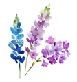 watercolor flowers vector image