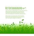 summer meadow background vector image