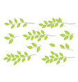 green tree branches set vector image