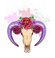 skull of a ram in flowers vector image vector image