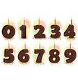 chocolate numbers candles for holiday cake vector image vector image