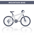mountain bike on white vector image