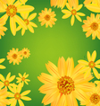 seamless flower leaves pattern background vector image vector image