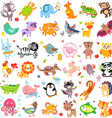 animals vector image