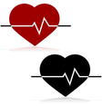 heart rate vector image vector image