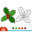 coloring book holly branch vector image