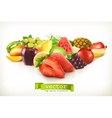 harvest juicy fruit and berries isolated on white vector image vector image