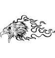 monochrome head eagle vector image