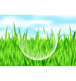 drop on grass vector image vector image