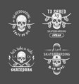skateboarding skull emblem set vector image vector image