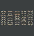 wedding floral graphic elements set dividers vector image